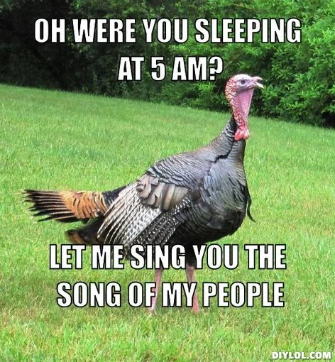 Attachment 50ad0a73e4b0b1fe7cd0587b