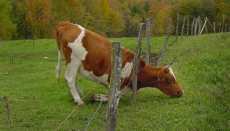 Attachment 52401f30e4b0cd883dbf8640