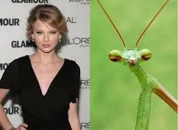 Attachment 537b6b57e4b02899e9252f78