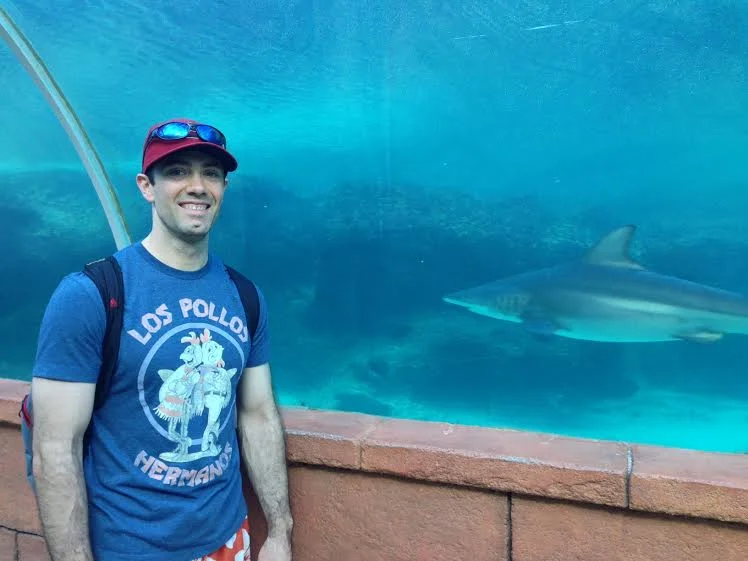 Attachment 5457dcbee4b04e0fcd8c9583