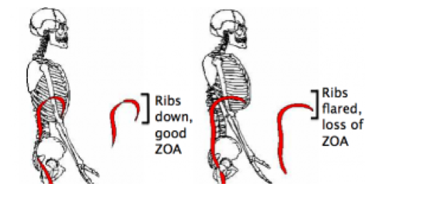 Attachment 57c582ab8419c2fb44fd698f